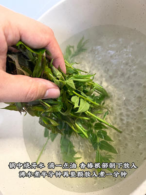 春季时令｜凉拌香椿豆腐的做法 步骤4