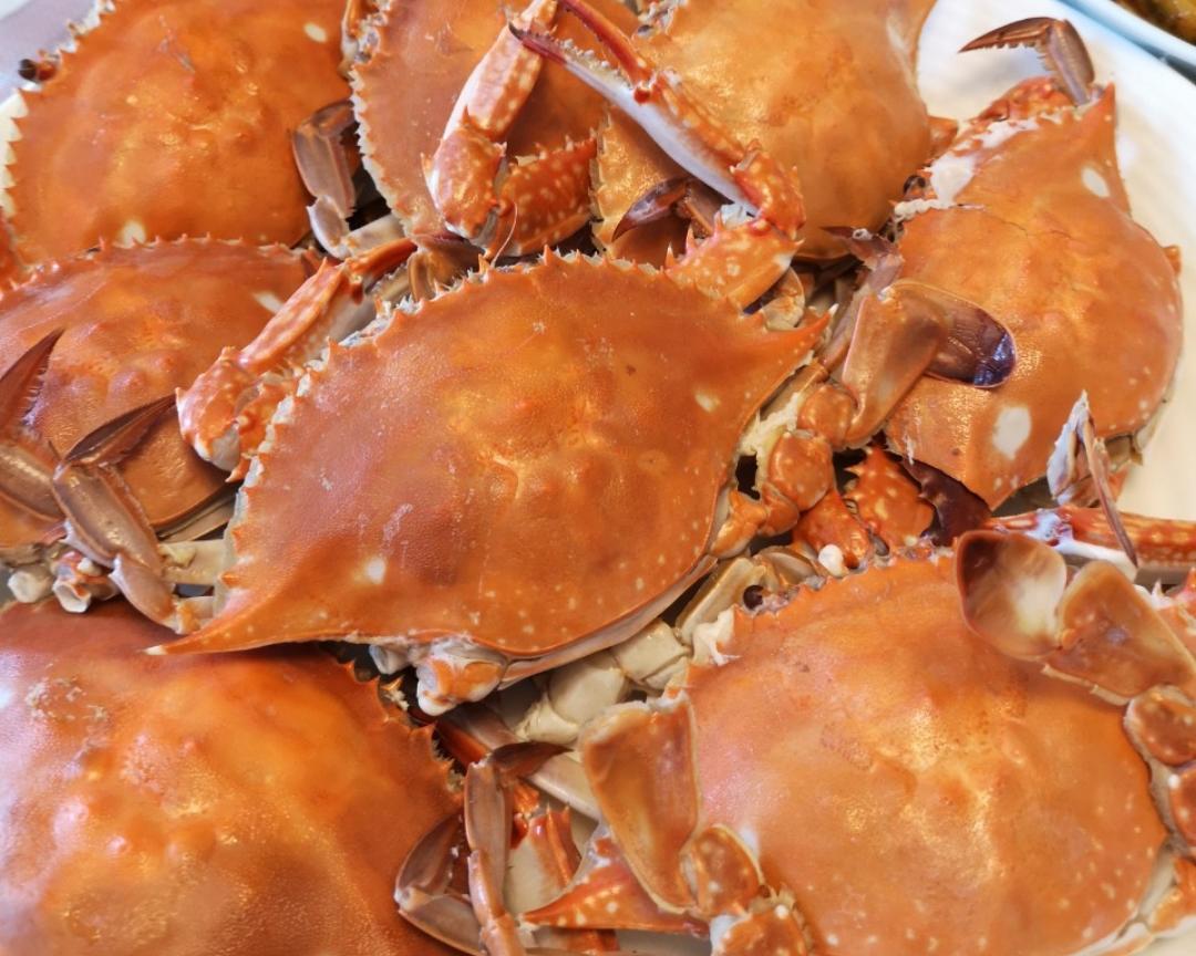 清蒸螃蟹🦀的做法