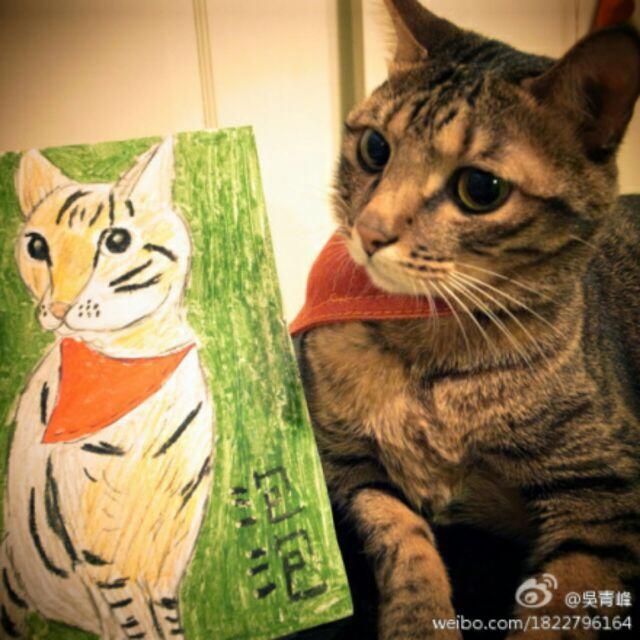泡泡0oO