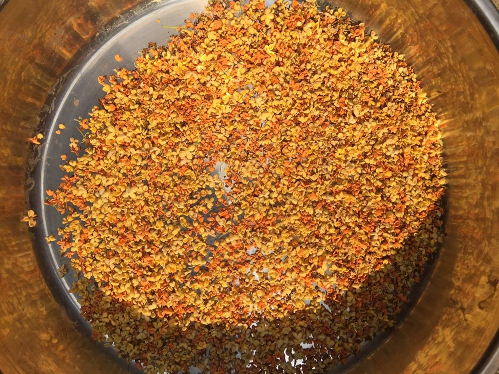 自制干桂花