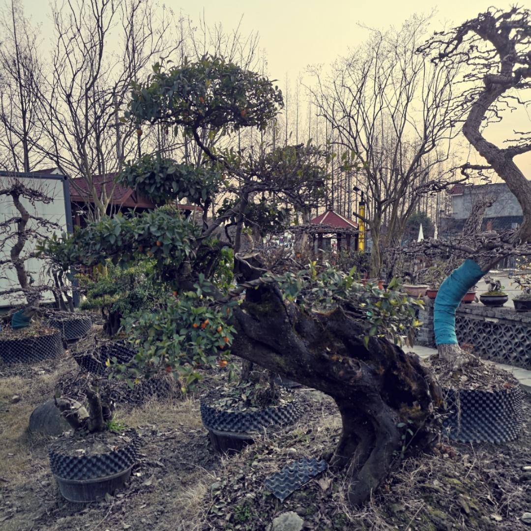 喜欢厨艺的大叔