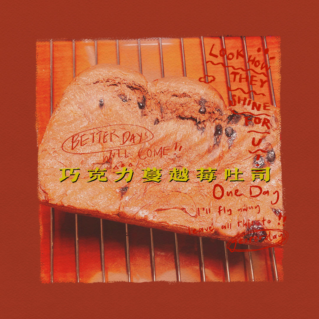 巧克力蔓越梅吐司~天然酵种(或波兰种)