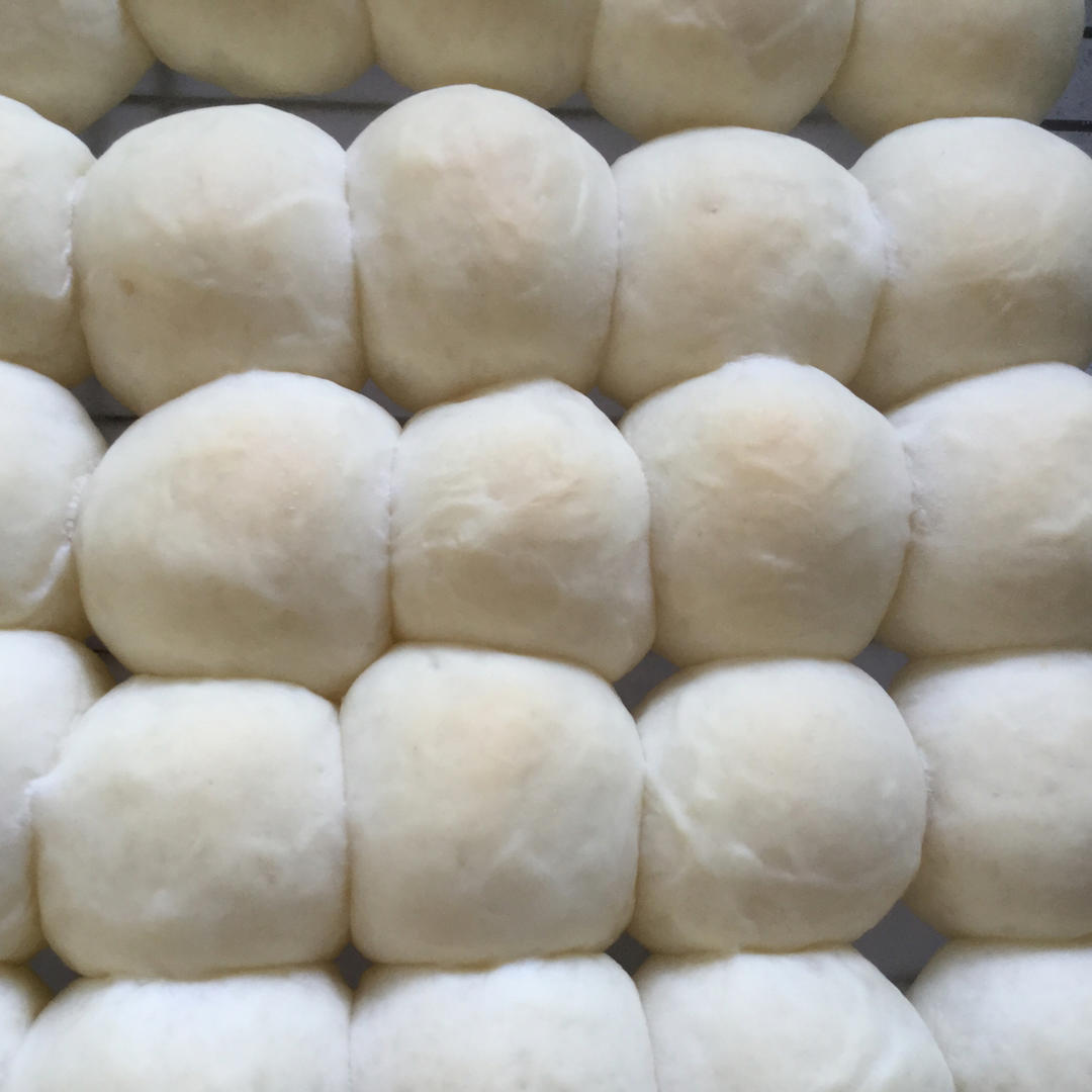 回饼(云南产)的全部作品