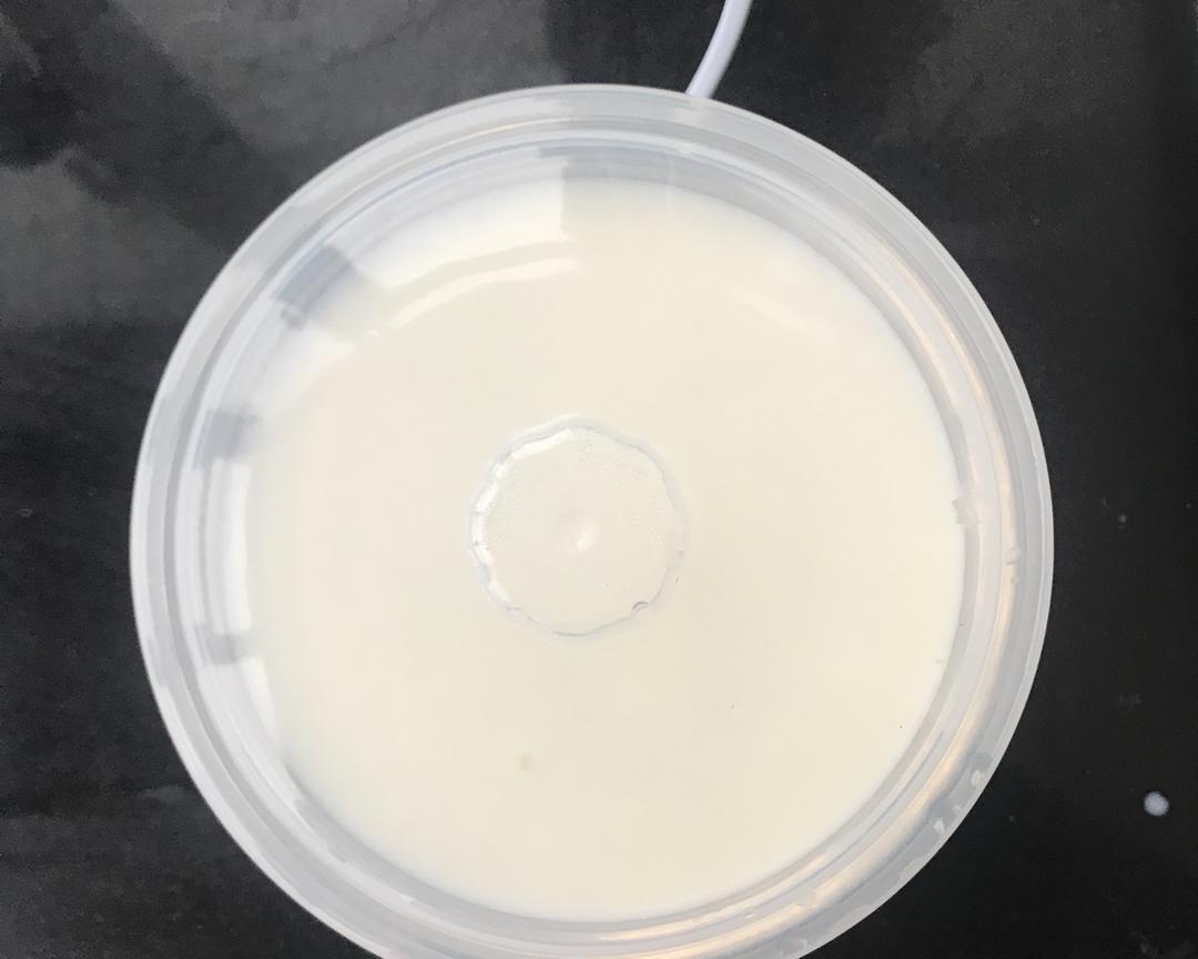 纯牛奶自制酸奶
