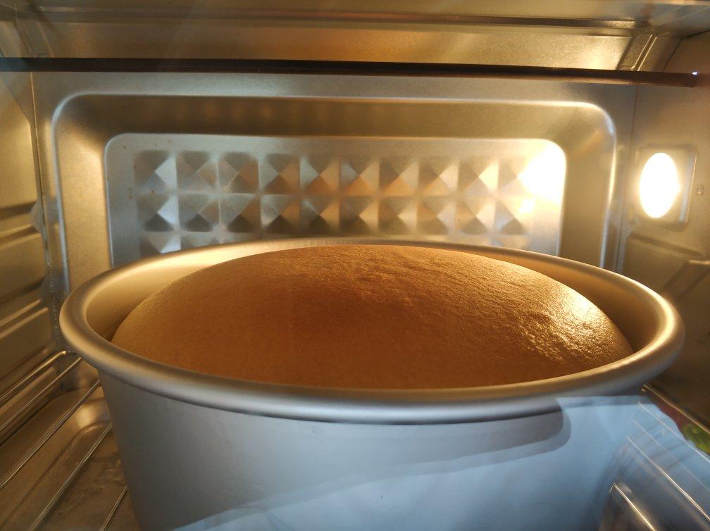 简易蛋糕(胚），拯救屡败星人（8寸）