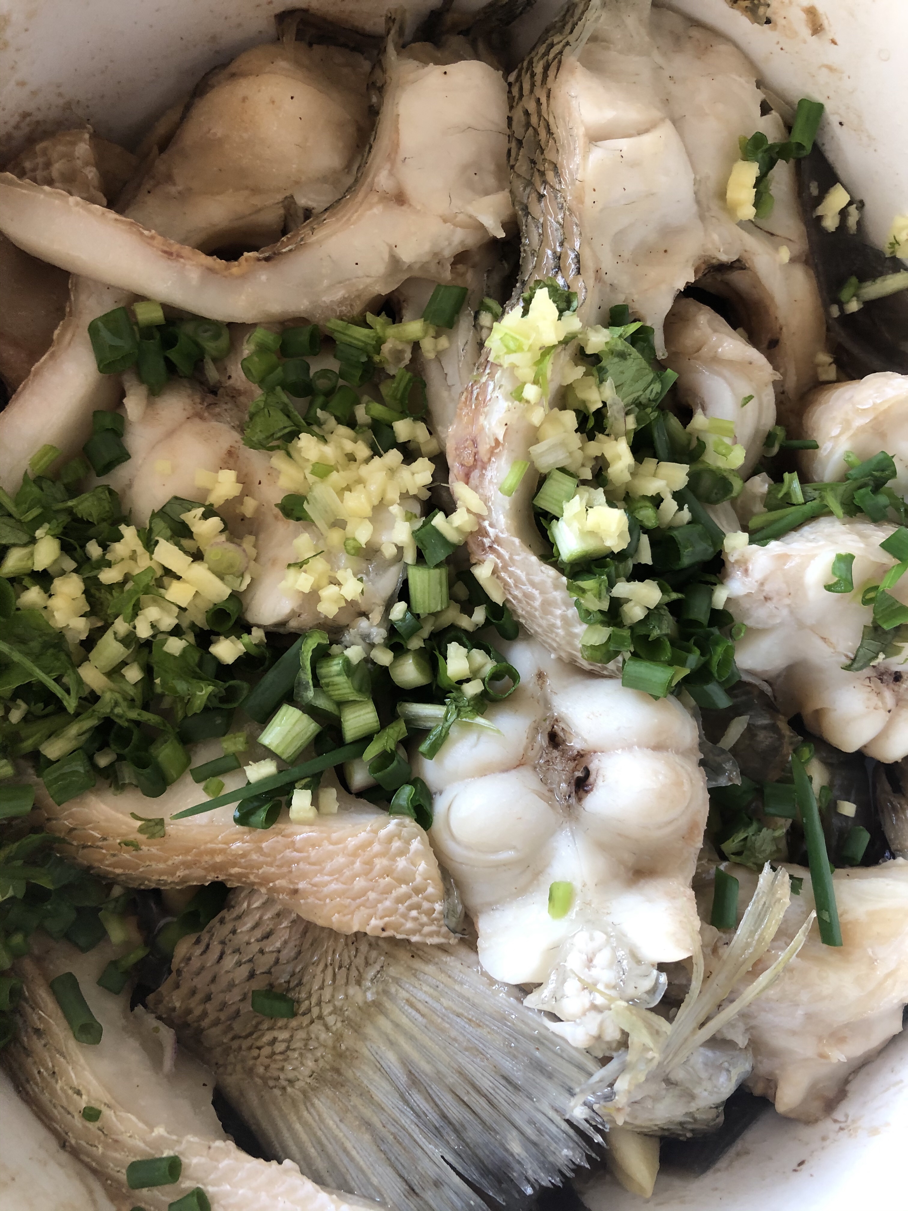 广式砂锅鱼