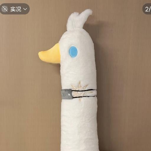 张仙人掌
