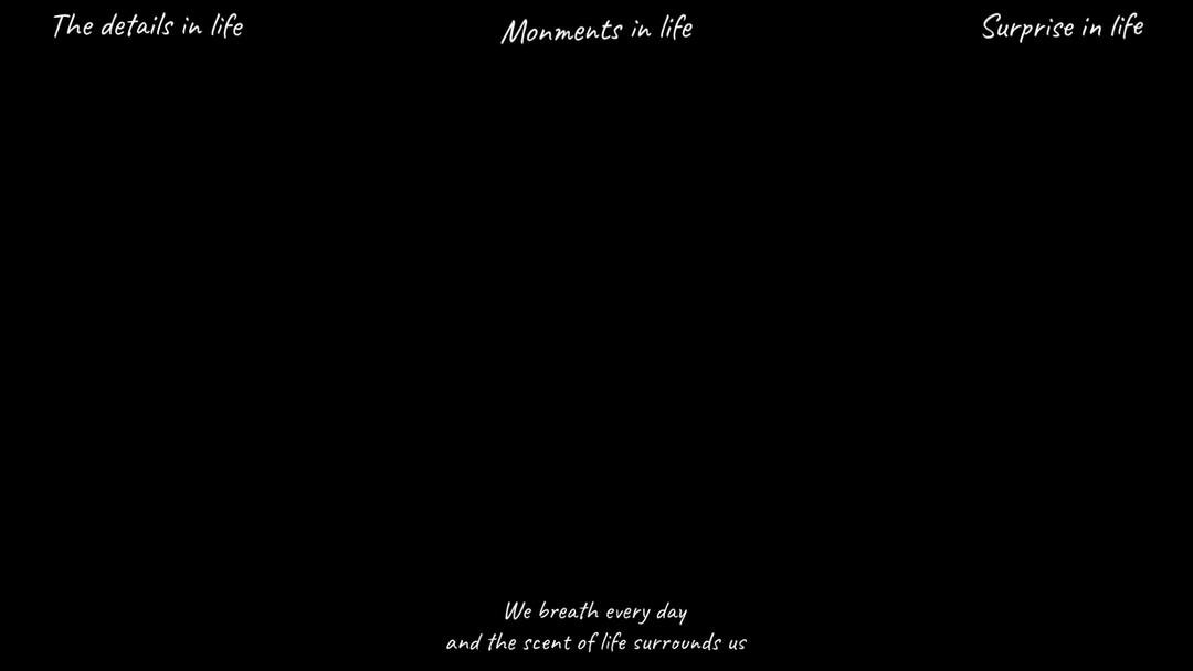 韩式泡菜鱼片锅 夏季锅圈好食汇系列之五