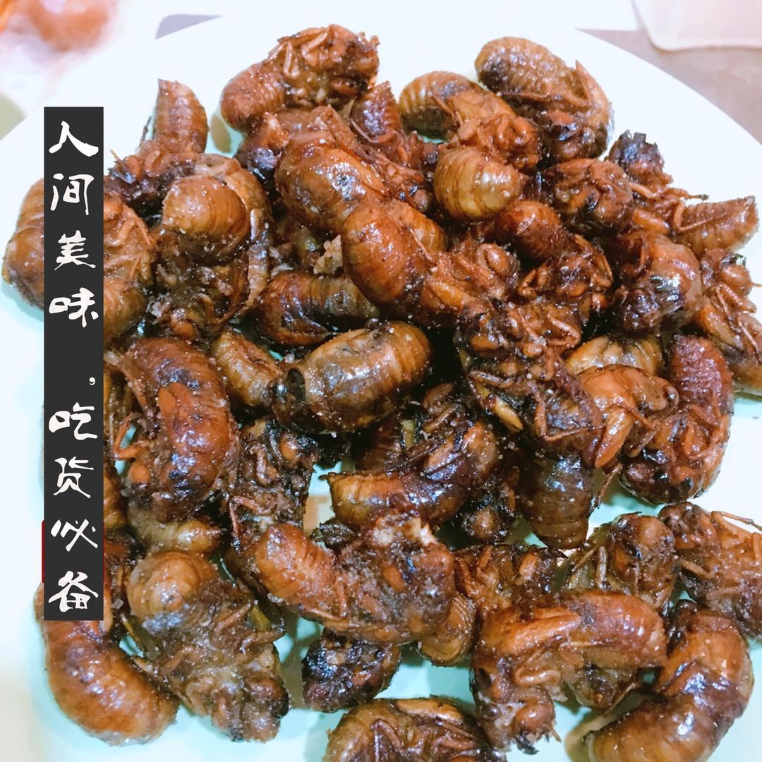 油炸金蝉