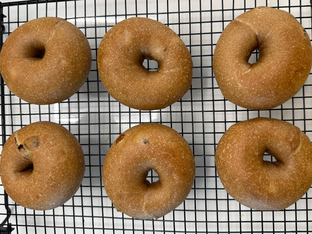 秒Tims的肉桂提子贝果，1次发酵2小时搞定