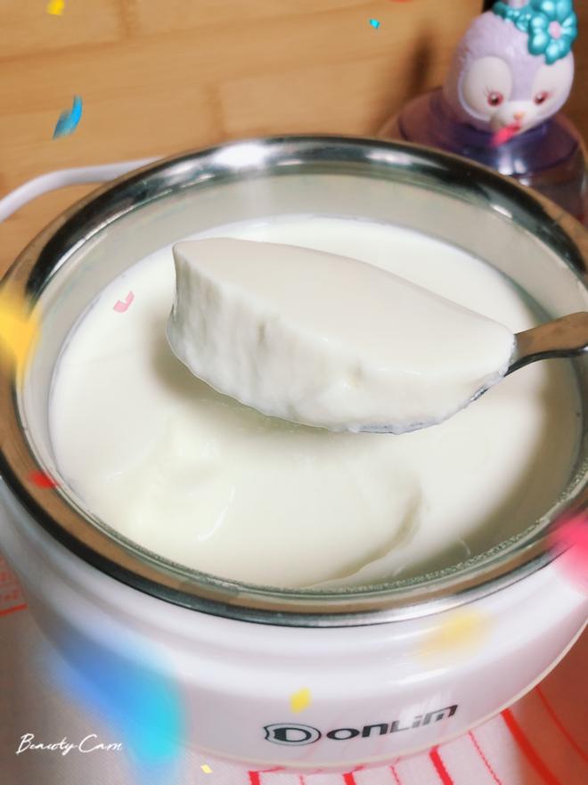 原味酸奶的做法