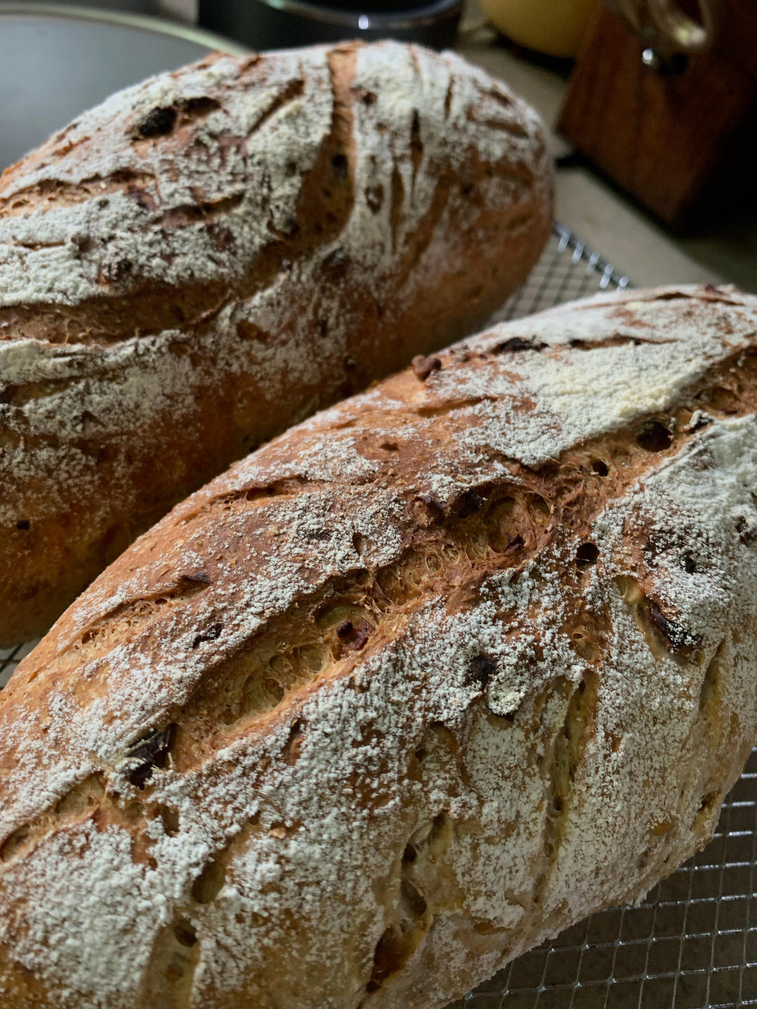 全麦核桃包～软欧包