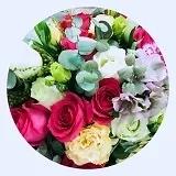 又懒又爱瞎折腾