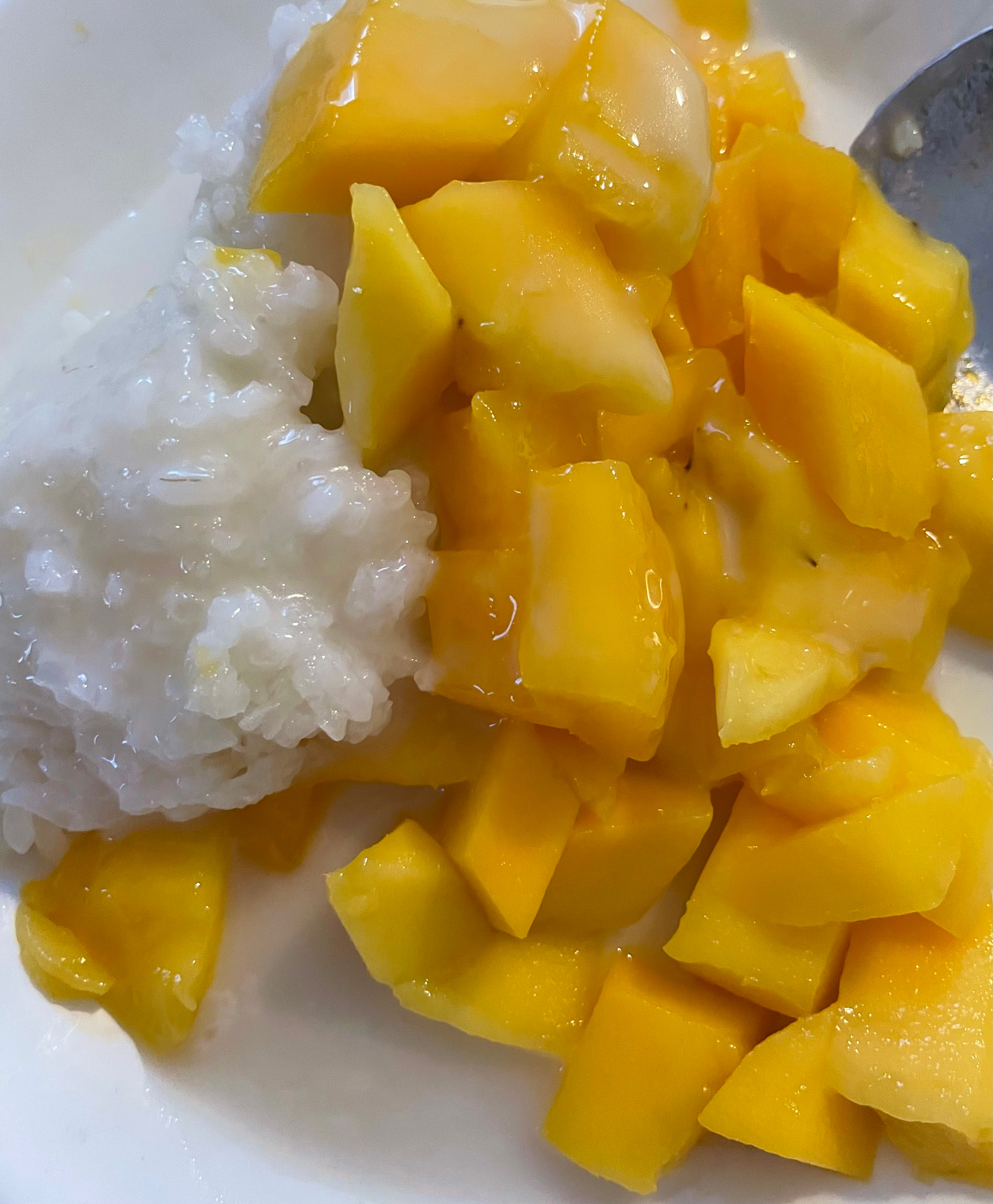 简单芒果🥭糯米饭的做法