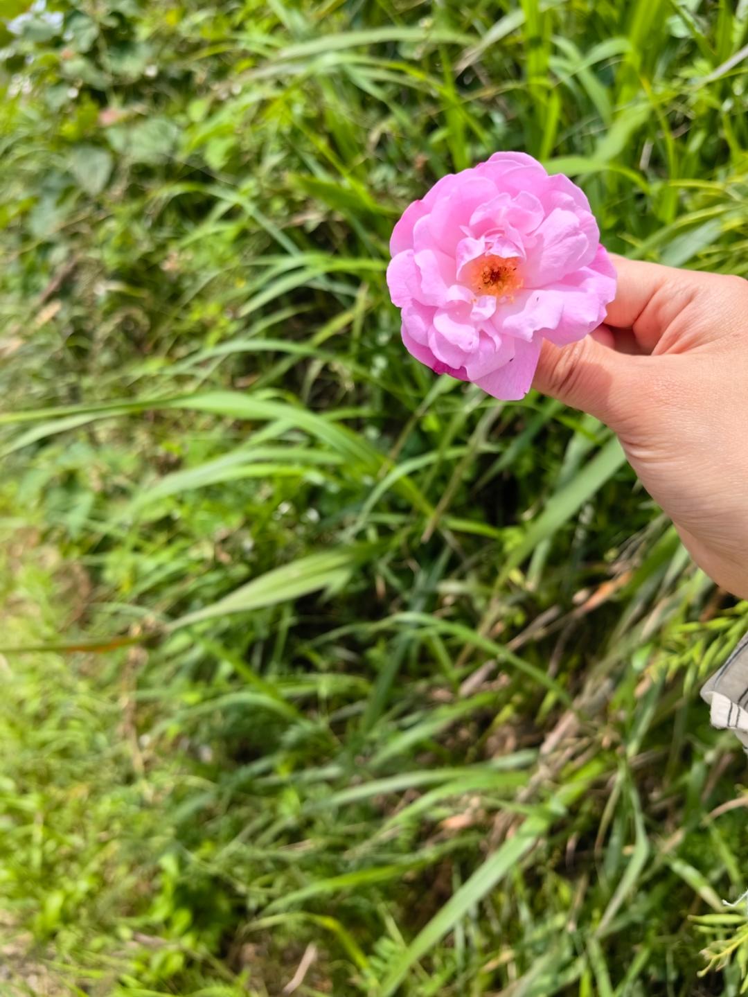 小小同学爱做饭