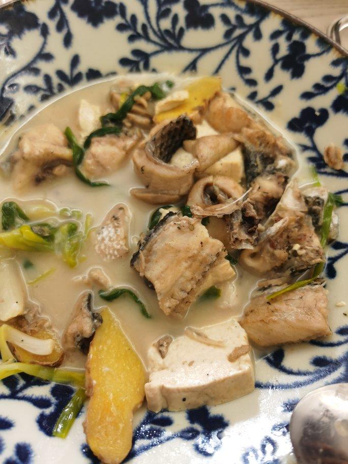 黑鱼豆腐汤～奶白的汤色好喝到爆！