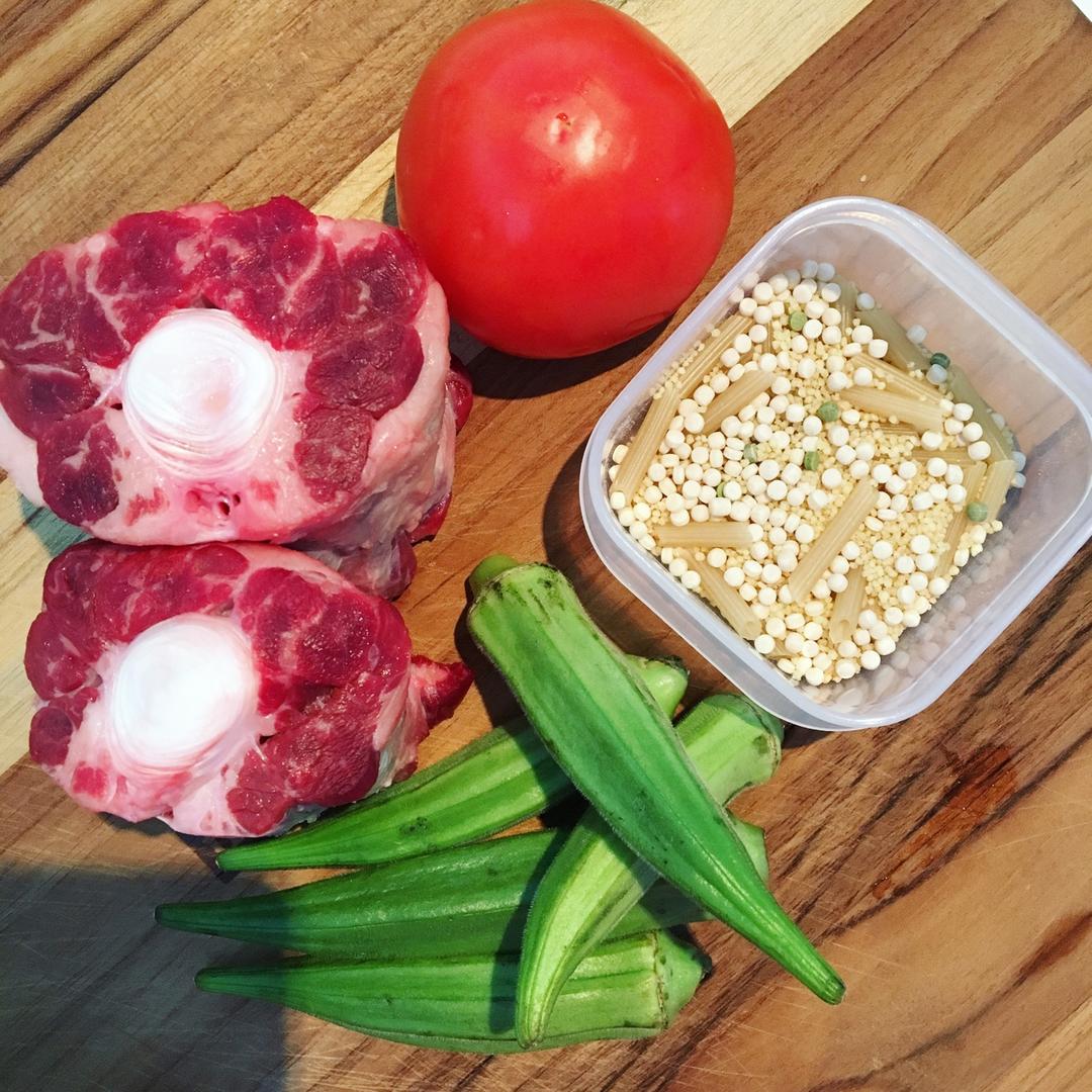 狗狗鲜食——色彩的密码