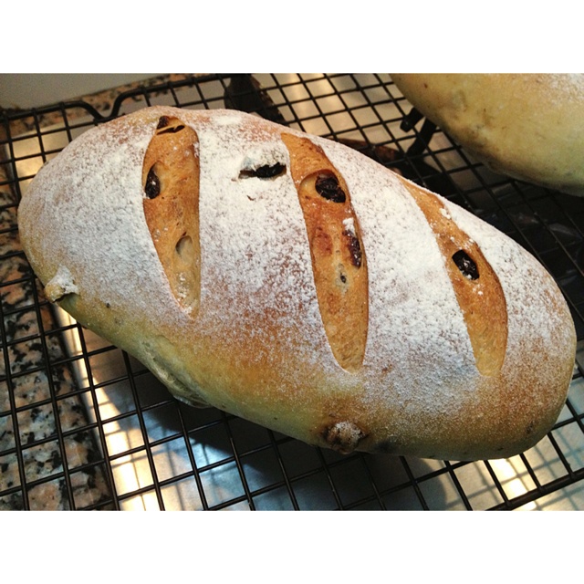 全麦核桃包～软欧包