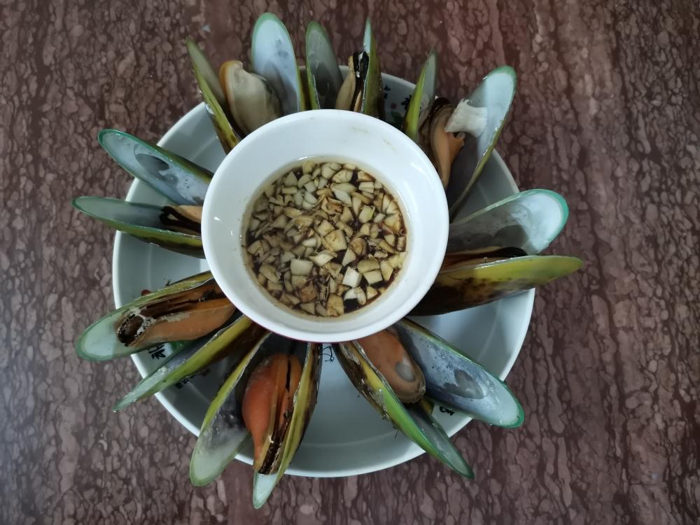 白汋咸海青口贝