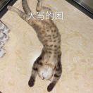 明迁