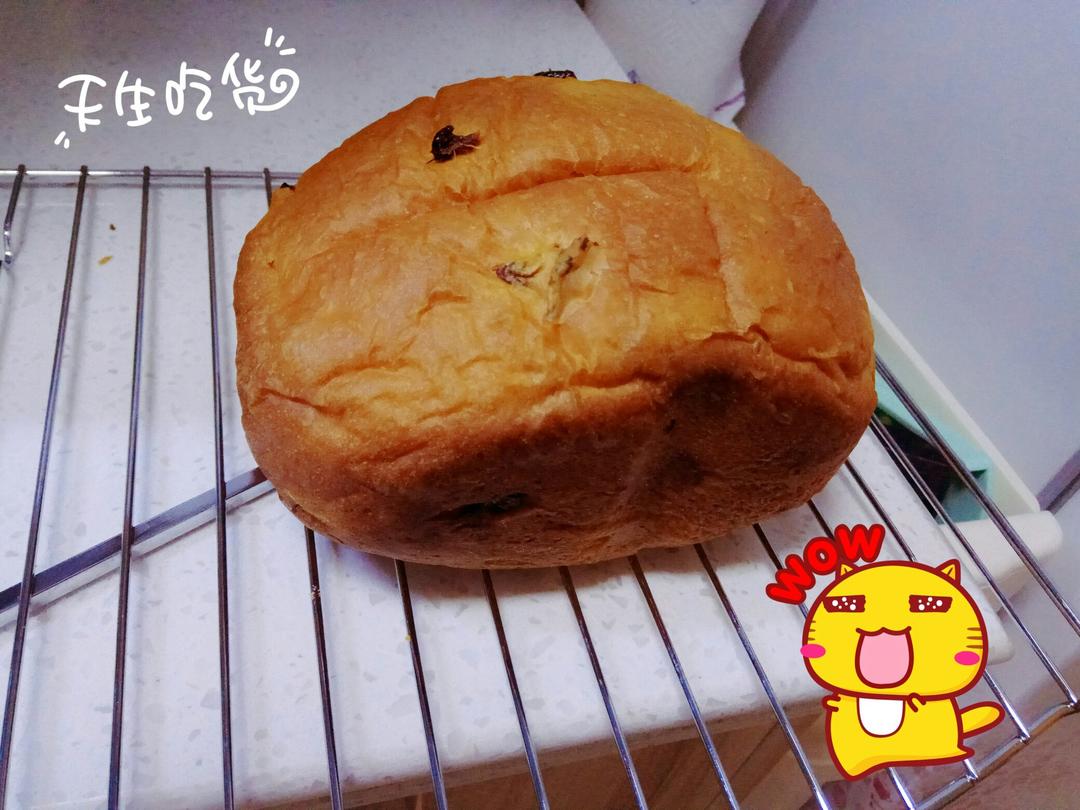 提子土司（柏翠面包机PE6280）自用方子