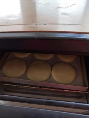 烤箱、电饼铛两用版油酥糖烧饼的做法 步骤19