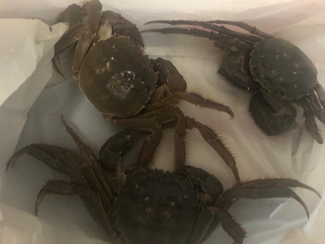 香辣蟹