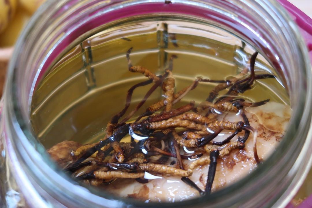 松茸虫草酒的做法