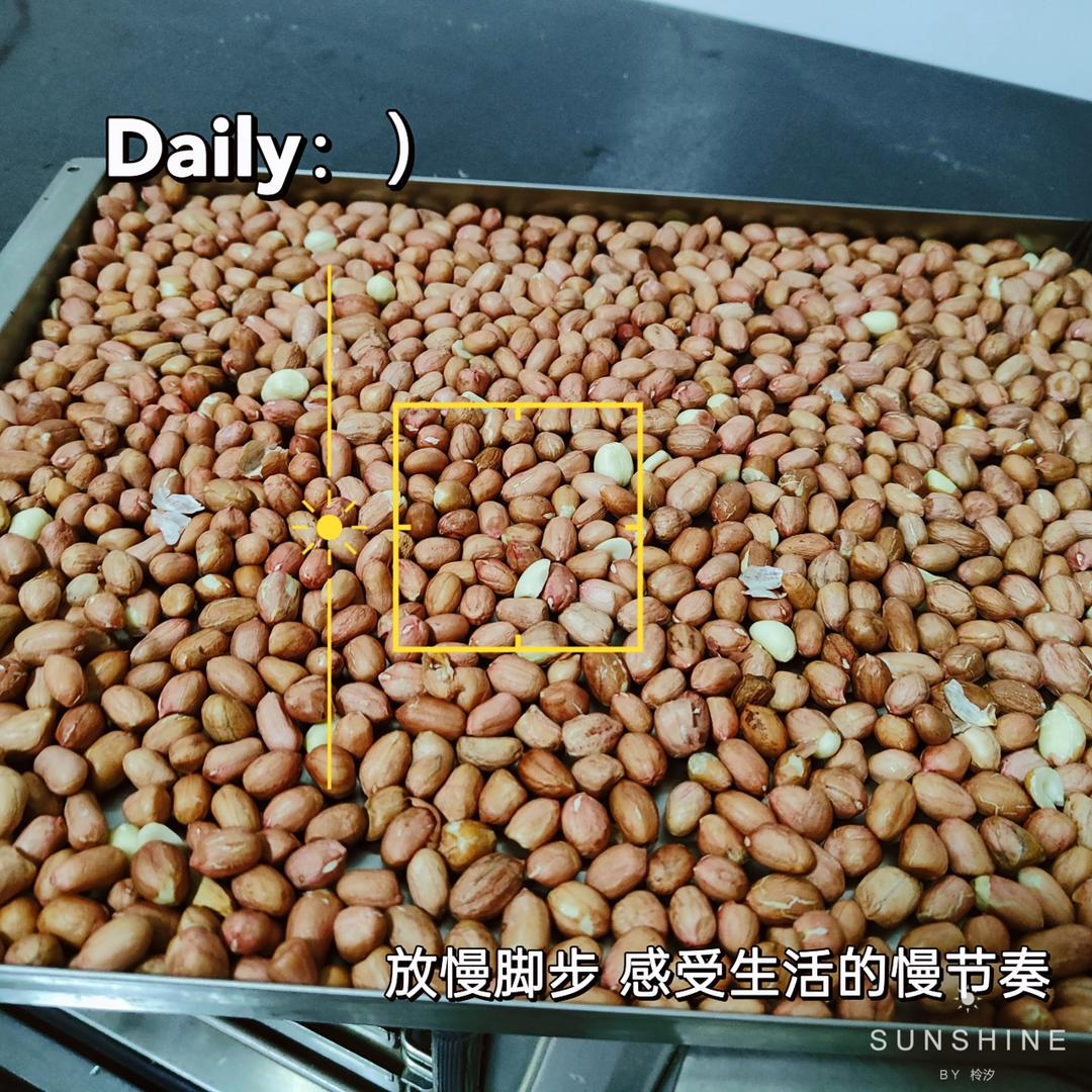 零基础花生酱