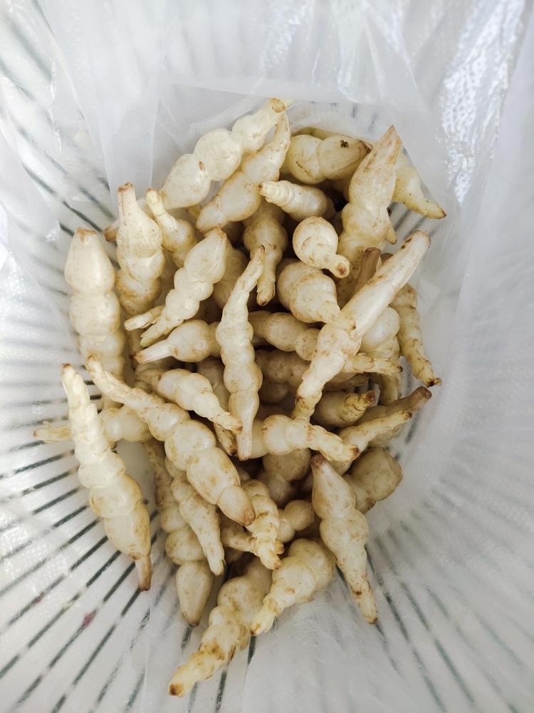 腌地环/甘露子/宝塔菜的做法 步骤1