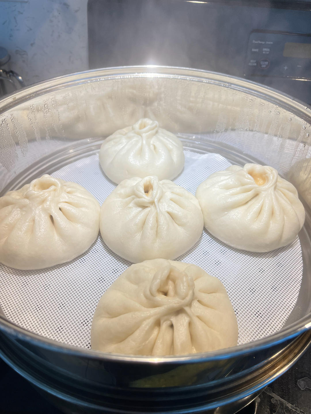 白白胖胖的鲜肉大包子（内附100%成功的发面方法）猪肉大葱馅的最好吃～