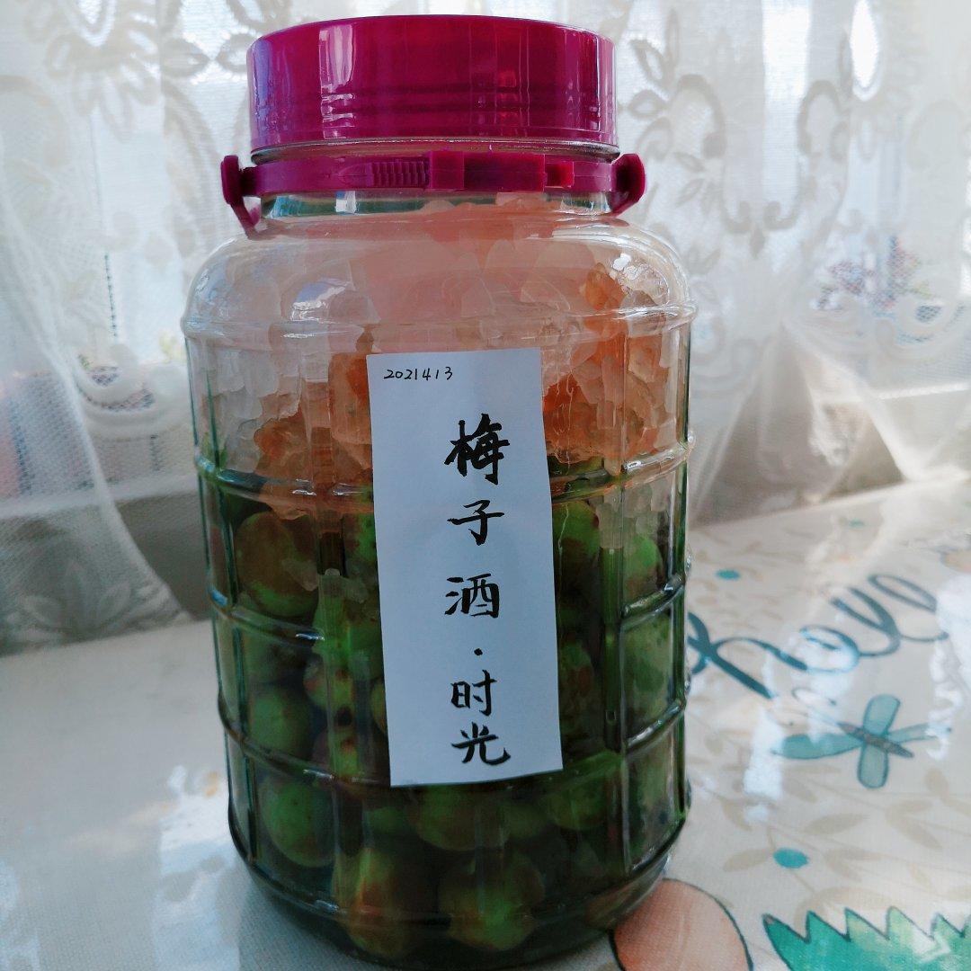 【青梅酒】梅子的沉醉时光（已填坑）