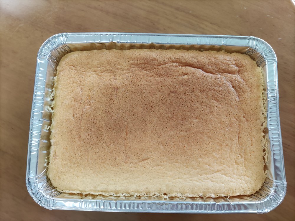 10升小烤箱普通食材烤蛋糕