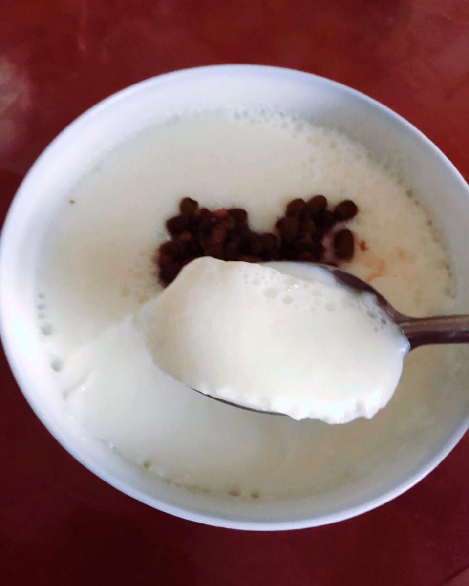 广东顺德的经典双皮奶，就是这个味儿！