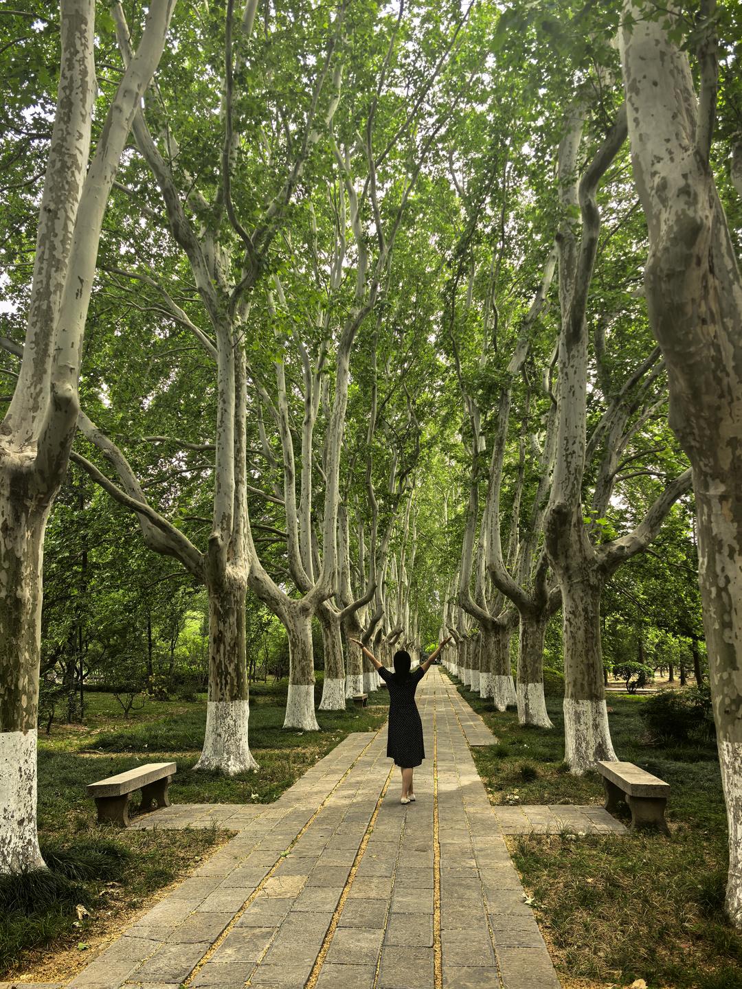 一个爱捣腾的吃货