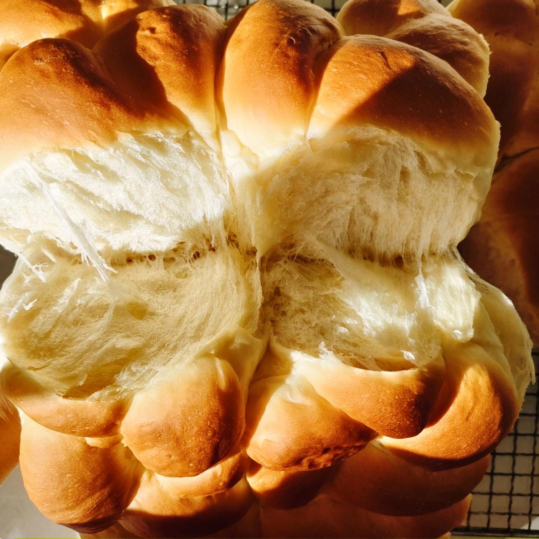 【爱和自由】老面包