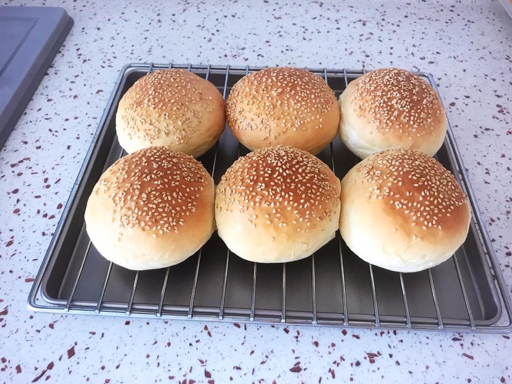 汉堡胚 poolish（波兰种）