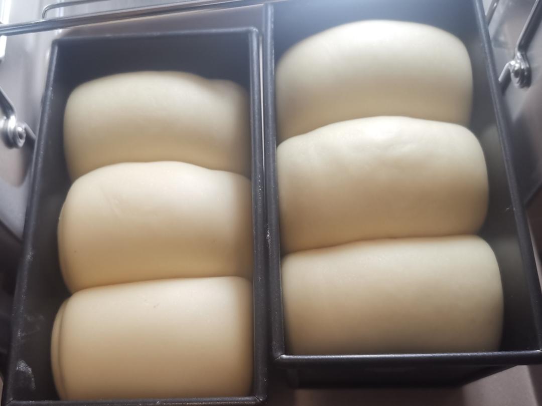 椰浆吐司🍞一次发酵