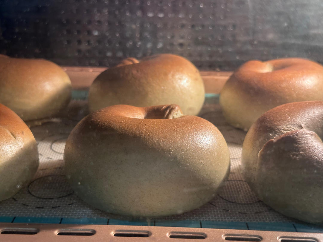海苔辣肉松贝果