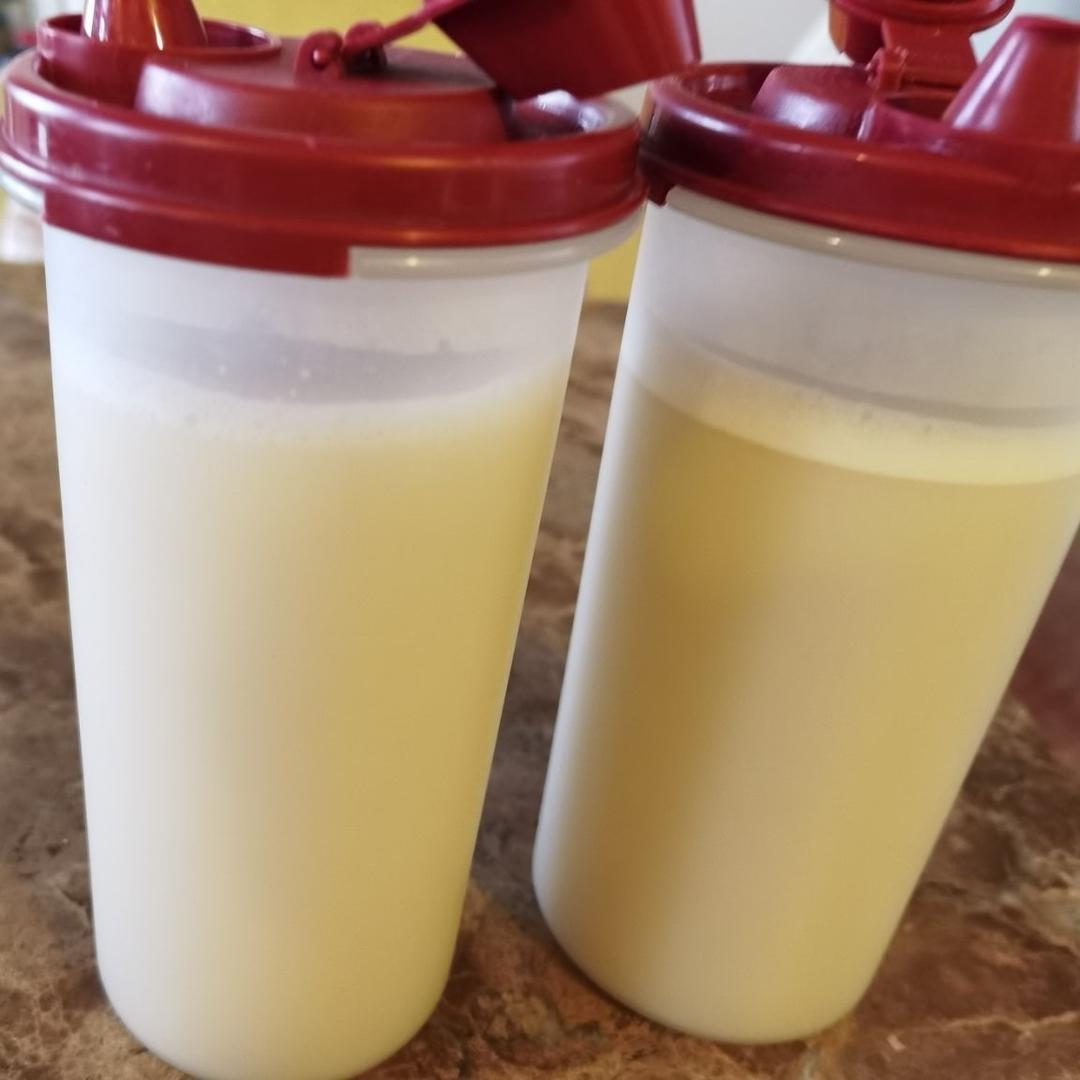 曼食慢语 | 燕麦奶