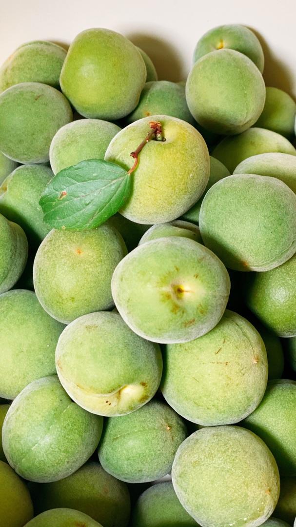 梅烦恼「青梅酒」