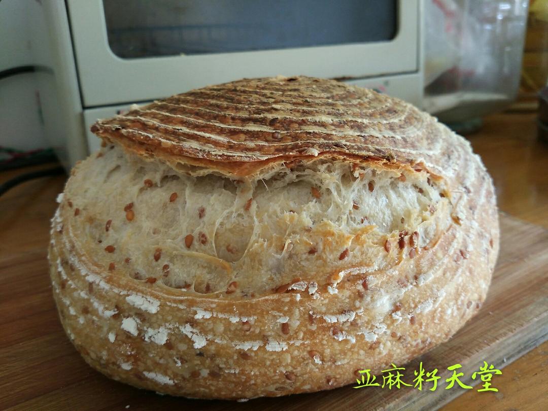 亚麻籽天堂