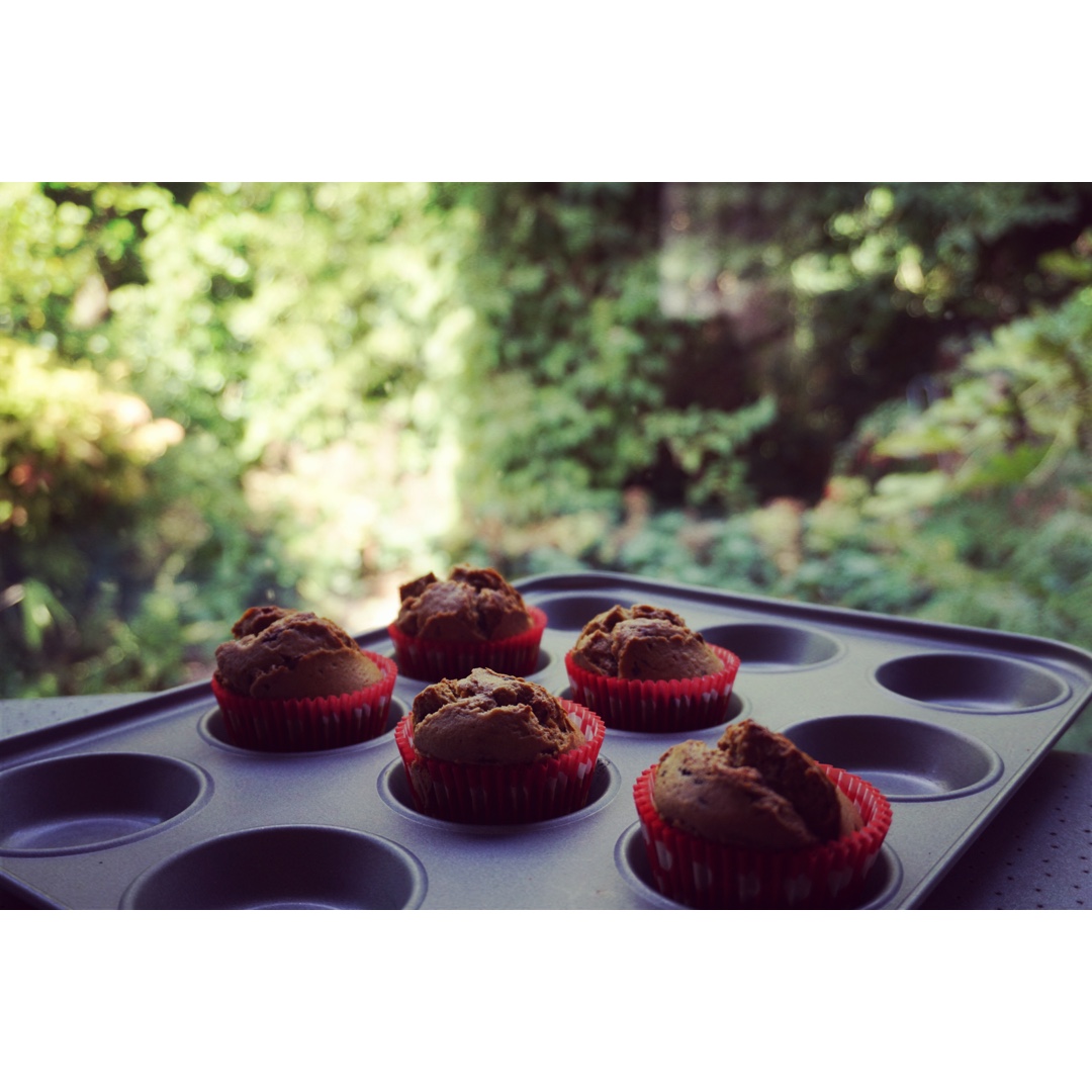 小叶子的剑桥日志