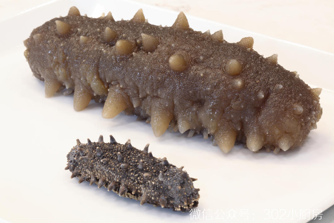 【0256】如何在家泡发海参 <302小厨房>