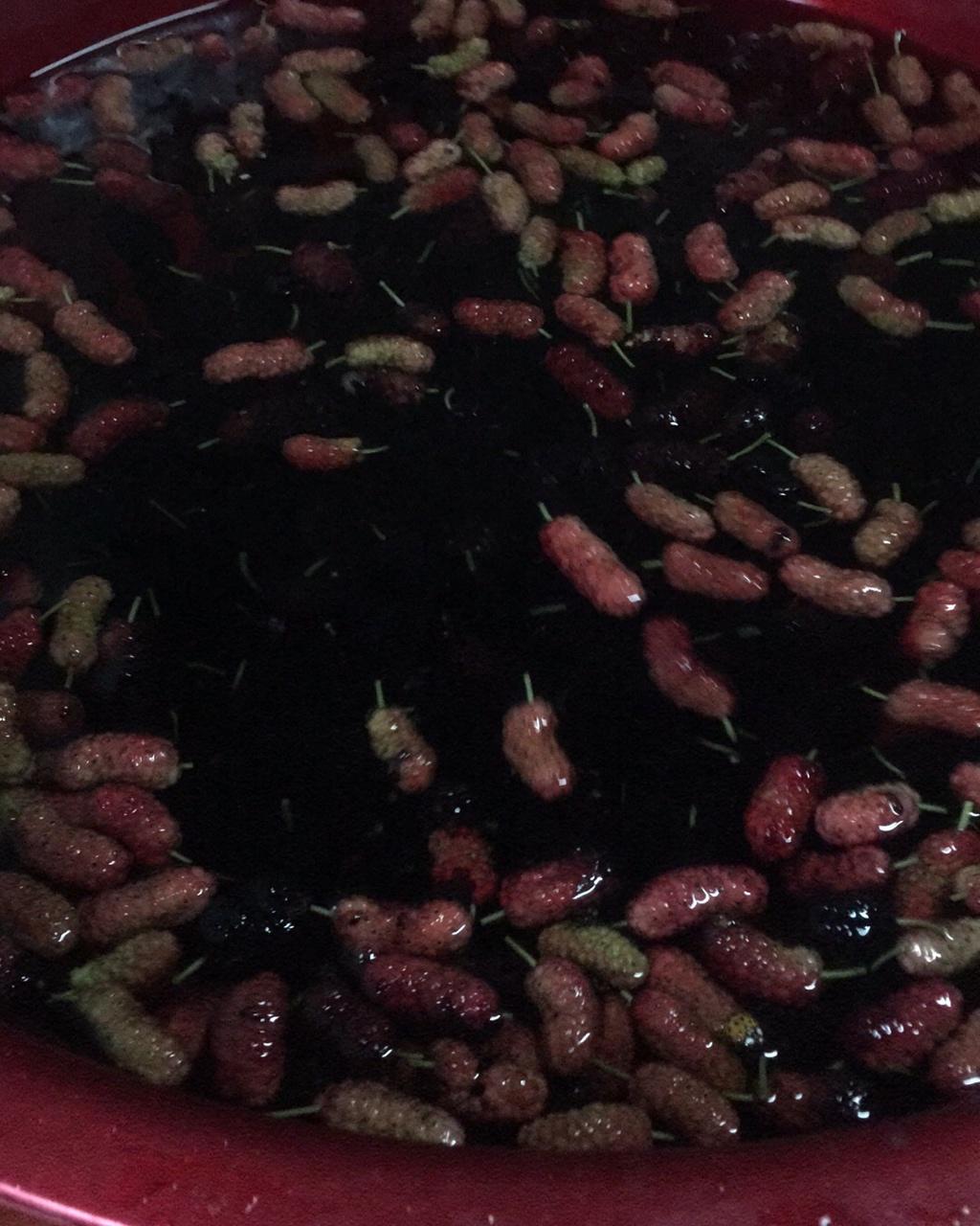 滋补肝肾去黑眼圈的桑葚枸杞膏