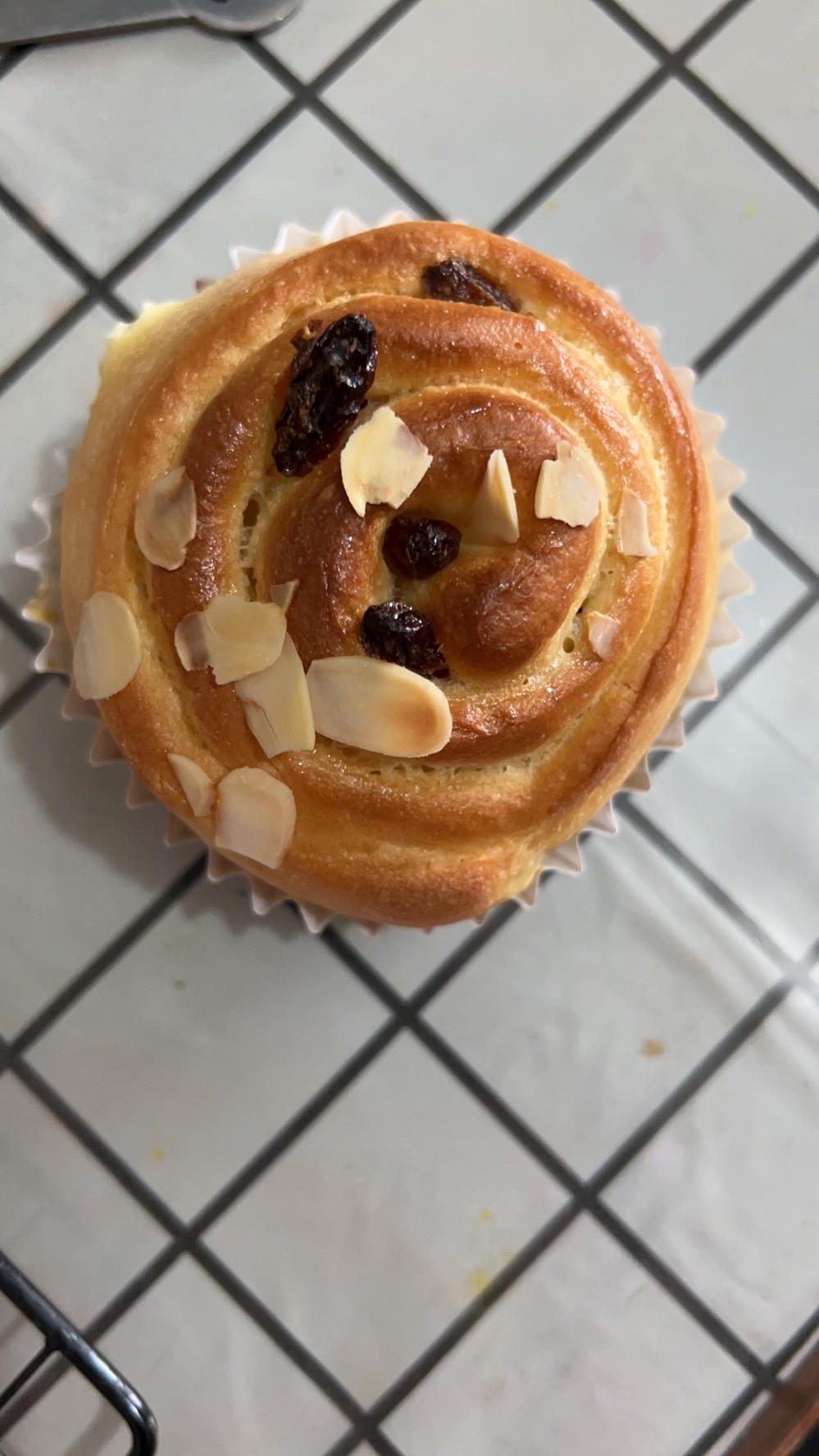 奶香浓郁香甜又好吃🉐️炼乳提子面包