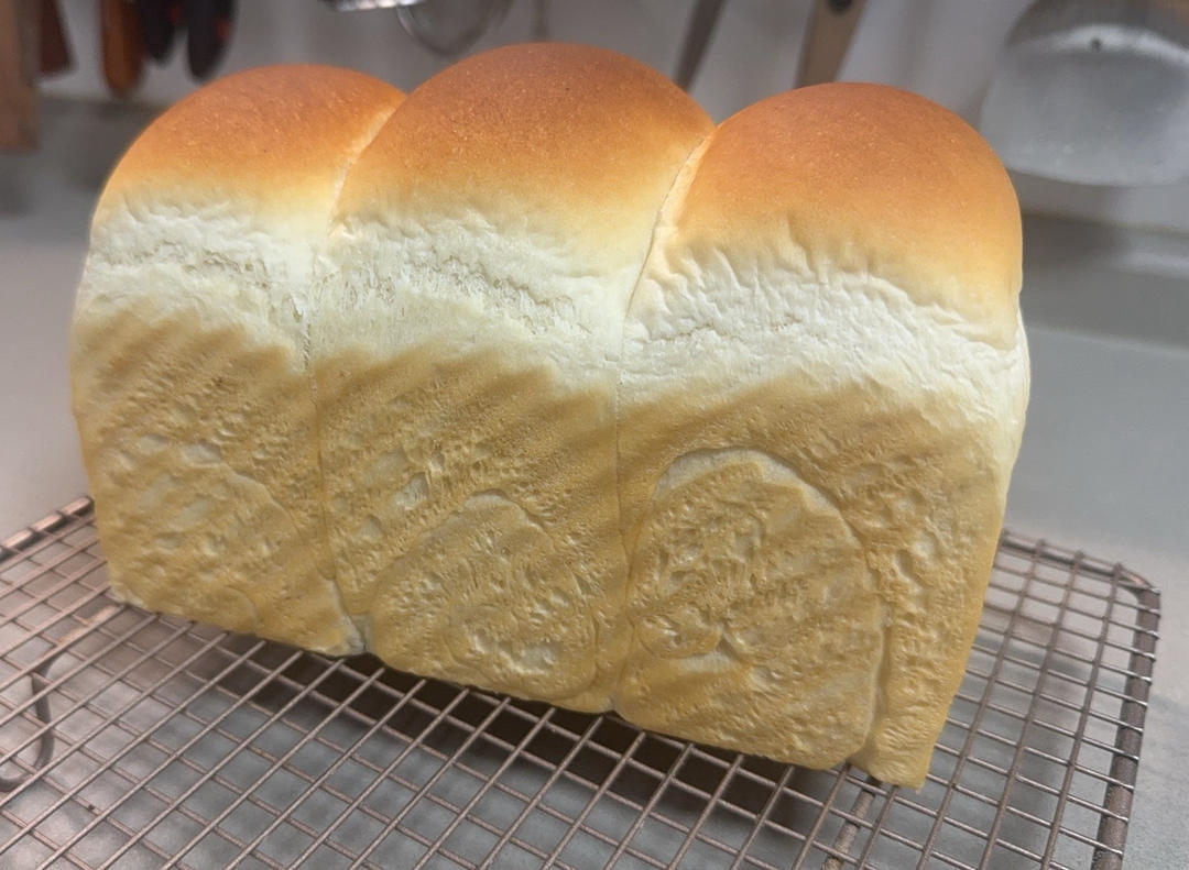 波兰种牛奶吐司