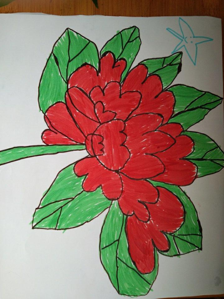 画
