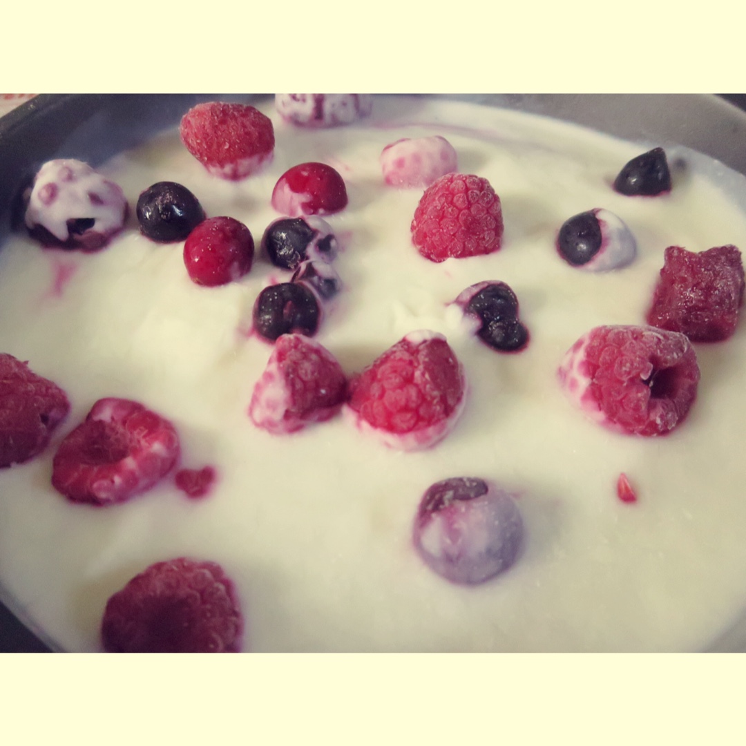 酸奶水果薄脆Yogurt Fruits Bar