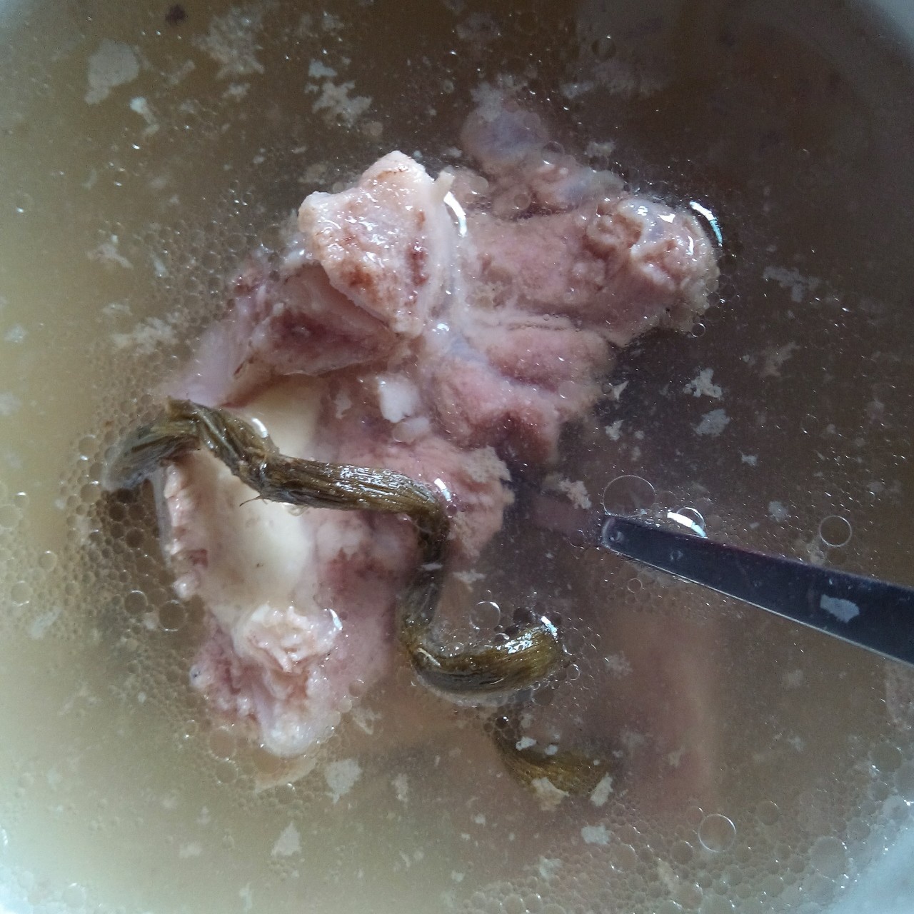 石斛猪骨汤